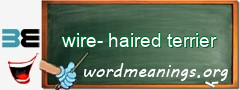 WordMeaning blackboard for wire-haired terrier